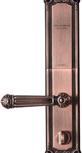 Khóa điện tử Kaadas 6002